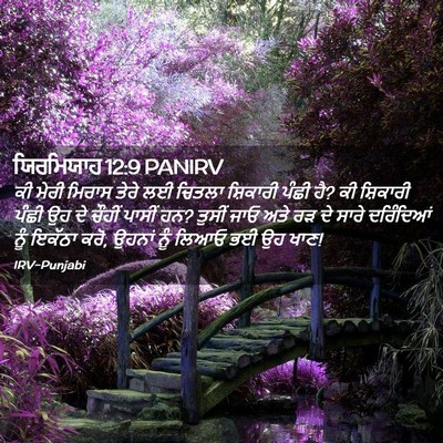 Picture 02 - ਯਿਰਮਿਯਾਹ 12:9 PANIRV - ਕੀ ਮੇਰੀ ਮਿਰਾਸ ਤੇਰੇ - Bible Verse Picture