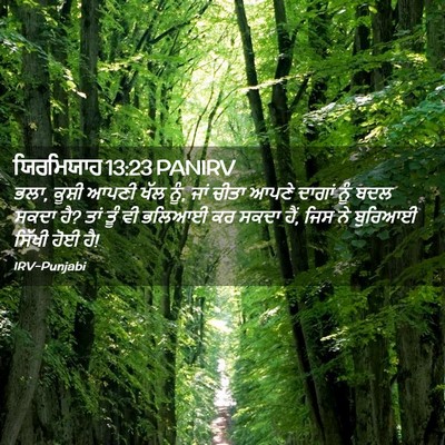 Picture 02 - ਯਿਰਮਿਯਾਹ 13:23 PANIRV - ਭਲਾ, ਕੂਸ਼ੀ ਆਪਣੀ ਖੱਲ - Bible Verse Picture