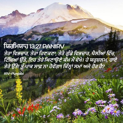 Picture 02 - ਯਿਰਮਿਯਾਹ 13:27 PANIRV - ਤੇਰਾ ਵਿਭਚਾਰ, ਤੇਰਾ - Bible Verse Picture