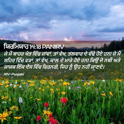 Picture 02 - ਯਿਰਮਿਯਾਹ 14:18 PANIRV - ਜੇ ਮੈਂ ਬਾਹਰ ਖੇਤ - Bible Verse Picture