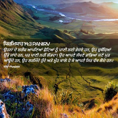 Picture 02 - ਯਿਰਮਿਯਾਹ 14:3 PANIRV - ਉਹਨਾਂ ਦੇ ਸ਼ਰੀਫ - Bible Verse Picture