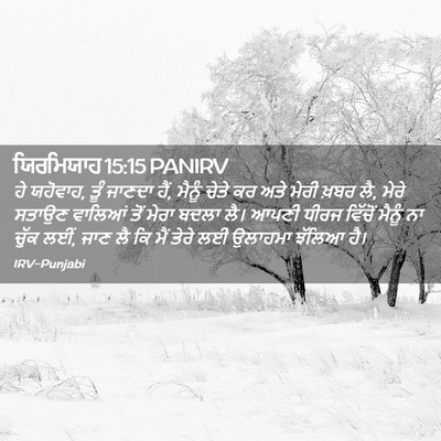 Picture 02 - ਯਿਰਮਿਯਾਹ 15:15 PANIRV - ਹੇ ਯਹੋਵਾਹ, ਤੂੰ - Bible Verse Picture