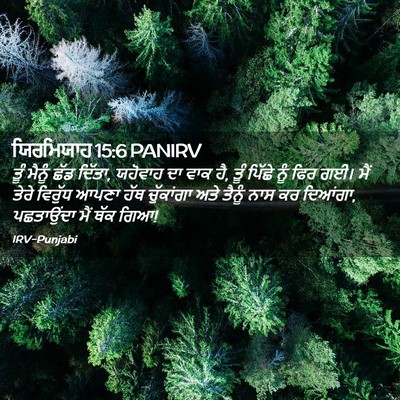 Picture 02 - ਯਿਰਮਿਯਾਹ 15:6 PANIRV - ਤੂੰ ਮੈਨੂੰ ਛੱਡ - Bible Verse Picture