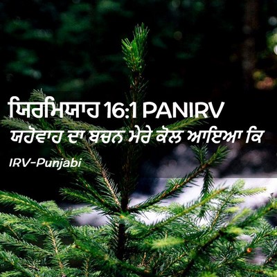 Picture 02 - ਯਿਰਮਿਯਾਹ 16:1 PANIRV - ਯਹੋਵਾਹ ਦਾ ਬਚਨ ਮੇਰੇ - Bible Verse Picture