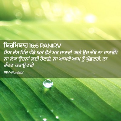 Picture 02 - ਯਿਰਮਿਯਾਹ 16:6 PANIRV - ਇਸ ਦੇਸ ਵਿੱਚ ਵੱਡੇ - Bible Verse Picture