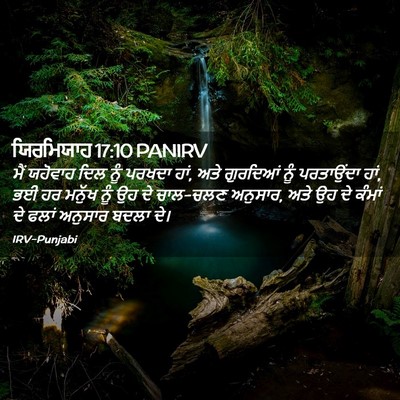 Picture 02 - ਯਿਰਮਿਯਾਹ 17:10 PANIRV - ਮੈਂ ਯਹੋਵਾਹ ਦਿਲ ਨੂੰ - Bible Verse Picture