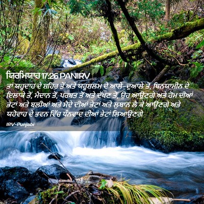 Picture 02 - ਯਿਰਮਿਯਾਹ 17:26 PANIRV - ਤਾਂ ਯਹੂਦਾਹ ਦੇ - Bible Verse Picture