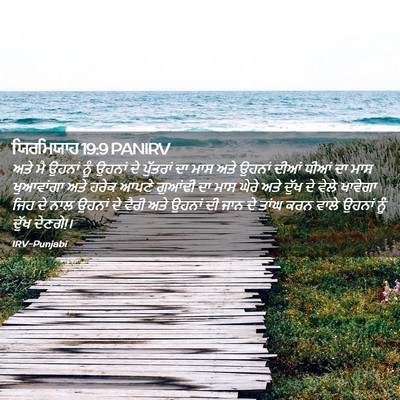 Picture 02 - ਯਿਰਮਿਯਾਹ 19:9 PANIRV - ਅਤੇ ਮੈ ਉਹਨਾਂ ਨੂੰ - Bible Verse Picture