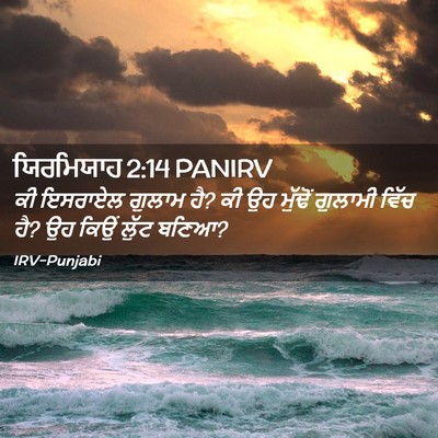 Picture 02 - ਯਿਰਮਿਯਾਹ 2:14 PANIRV - ਕੀ ਇਸਰਾਏਲ ਗੁਲਾਮ ਹੈ? - Bible Verse Picture
