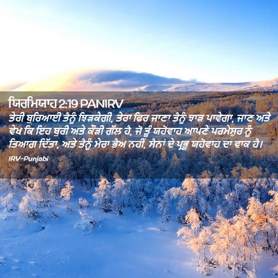 Picture 02 - ਯਿਰਮਿਯਾਹ 2:19 PANIRV - ਤੇਰੀ ਬੁਰਿਆਈ ਤੈਨੂੰ - Bible Verse Picture