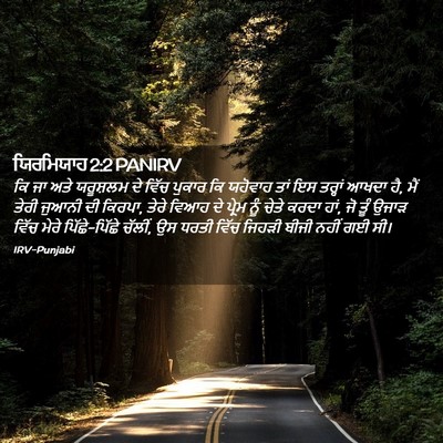 Picture 02 - ਯਿਰਮਿਯਾਹ 2:2 PANIRV - ਕਿ ਜਾ ਅਤੇ ਯਰੂਸ਼ਲਮ - Bible Verse Picture