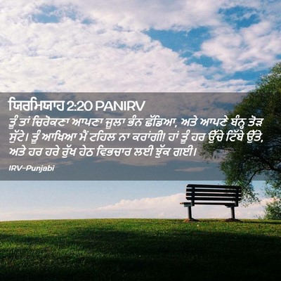 Picture 02 - ਯਿਰਮਿਯਾਹ 2:20 PANIRV - ਤੂੰ ਤਾਂ ਚਿਰੋਕਣਾ - Bible Verse Picture