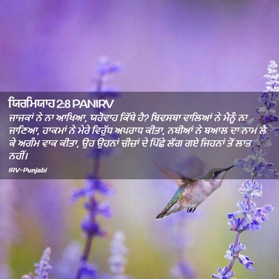 Picture 02 - ਯਿਰਮਿਯਾਹ 2:8 PANIRV - ਜਾਜਕਾਂ ਨੇ ਨਾ ਆਖਿਆ, - Bible Verse Picture