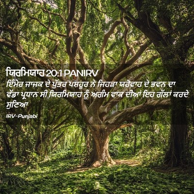 Picture 02 - ਯਿਰਮਿਯਾਹ 20:1 PANIRV - ਇੰਮੇਰ ਜਾਜਕ ਦੇ - Bible Verse Picture