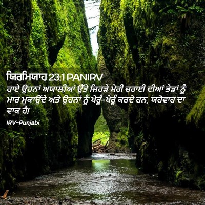 Picture 02 - ਯਿਰਮਿਯਾਹ 23:1 PANIRV - ਹਾਏ ਉਹਨਾਂ ਅਯਾਲੀਆਂ - Bible Verse Picture