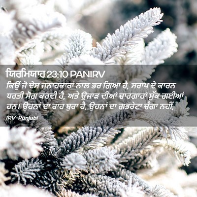 Picture 02 - ਯਿਰਮਿਯਾਹ 23:10 PANIRV - ਕਿਉਂ ਜੋ ਦੇਸ - Bible Verse Picture