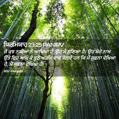 Picture 02 - ਯਿਰਮਿਯਾਹ 23:25 PANIRV - ਜੋ ਕੁਝ ਨਬੀਆਂ ਨੇ - Bible Verse Picture