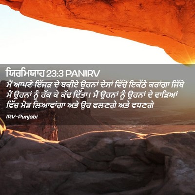 Picture 02 - ਯਿਰਮਿਯਾਹ 23:3 PANIRV - ਮੈਂ ਆਪਣੇ ਇੱਜੜ ਦੇ - Bible Verse Picture