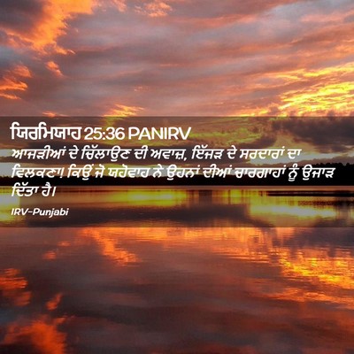 Picture 02 - ਯਿਰਮਿਯਾਹ 25:36 PANIRV - ਆਜੜੀਆਂ ਦੇ ਚਿੱਲਾਉਣ - Bible Verse Picture