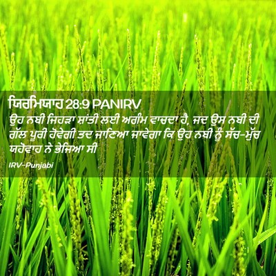 Picture 02 - ਯਿਰਮਿਯਾਹ 28:9 PANIRV - ਉਹ ਨਬੀ ਜਿਹੜਾ - Bible Verse Picture