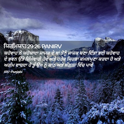 Picture 02 - ਯਿਰਮਿਯਾਹ 29:26 PANIRV - ਯਹੋਵਾਹ ਨੇ ਯਹੋਯਾਦਾ - Bible Verse Picture