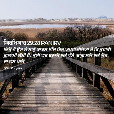 Picture 02 - ਯਿਰਮਿਯਾਹ 29:28 PANIRV - ਕਿਉਂ ਜੋ ਉਸ ਨੇ ਸਾਨੂੰ - Bible Verse Picture