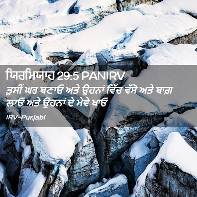 Picture 02 - ਯਿਰਮਿਯਾਹ 29:5 PANIRV - ਤੁਸੀਂ ਘਰ ਬਣਾਓ ਅਤੇ - Bible Verse Picture