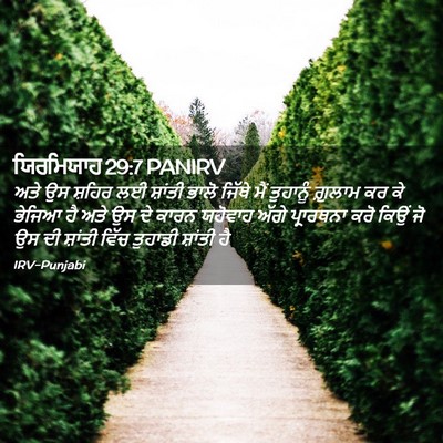Picture 02 - ਯਿਰਮਿਯਾਹ 29:7 PANIRV - ਅਤੇ ਉਸ ਸ਼ਹਿਰ ਲਈ - Bible Verse Picture