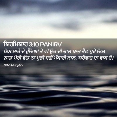 Picture 02 - ਯਿਰਮਿਯਾਹ 3:10 PANIRV - ਇਸ ਸਾਰੇ ਦੇ ਹੁੰਦਿਆਂ - Bible Verse Picture