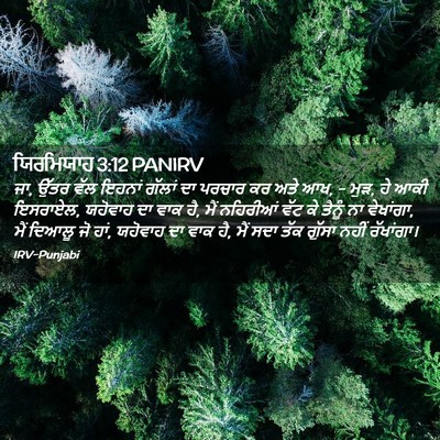 Picture 02 - ਯਿਰਮਿਯਾਹ 3:12 PANIRV - ਜਾ, ਉੱਤਰ ਵੱਲ ਇਹਨਾਂ - Bible Verse Picture