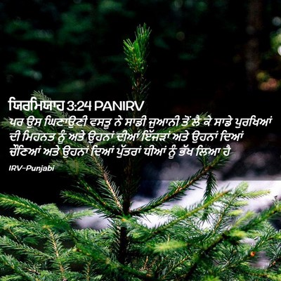 Picture 02 - ਯਿਰਮਿਯਾਹ 3:24 PANIRV - ਪਰ ਉਸ ਘਿਣਾਉਣੀ ਵਸਤੂ - Bible Verse Picture