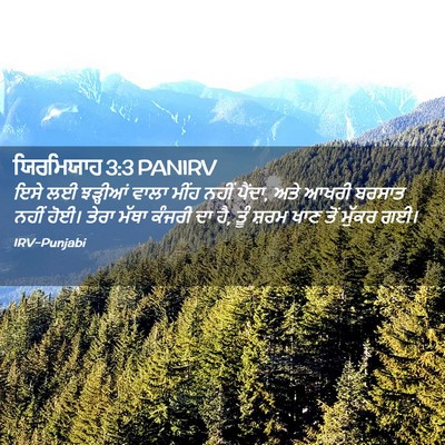 Picture 02 - ਯਿਰਮਿਯਾਹ 3:3 PANIRV - ਇਸੇ ਲਈ ਝੜ੍ਹੀਆਂ - Bible Verse Picture