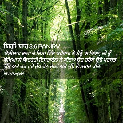 Picture 02 - ਯਿਰਮਿਯਾਹ 3:6 PANIRV - ਯੋਸ਼ੀਯਾਹ ਰਾਜਾ ਦੇ - Bible Verse Picture