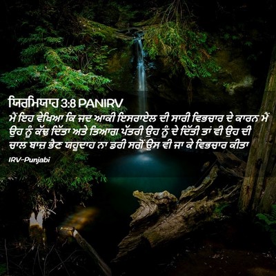 Picture 02 - ਯਿਰਮਿਯਾਹ 3:8 PANIRV - ਮੈਂ ਇਹ ਵੇਖਿਆ ਕਿ ਜਦ - Bible Verse Picture