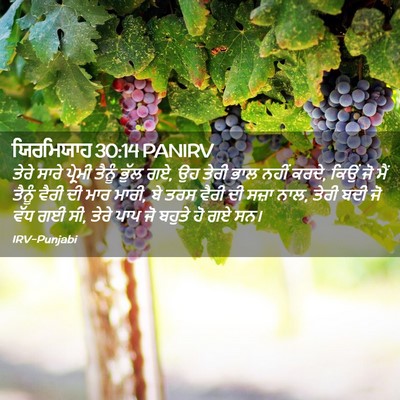 Picture 02 - ਯਿਰਮਿਯਾਹ 30:14 PANIRV - ਤੇਰੇ ਸਾਰੇ ਪ੍ਰੇਮੀ - Bible Verse Picture