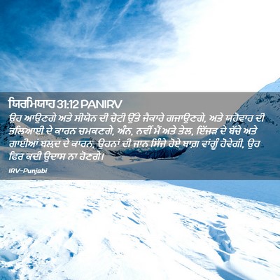 Picture 02 - ਯਿਰਮਿਯਾਹ 31:12 PANIRV - ਉਹ ਆਉਣਗੇ ਅਤੇ ਸੀਯੋਨ - Bible Verse Picture