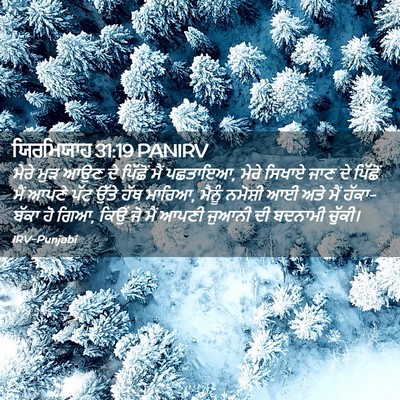 Picture 02 - ਯਿਰਮਿਯਾਹ 31:19 PANIRV - ਮੇਰੇ ਮੁੜ ਆਉਣ ਦੇ - Bible Verse Picture