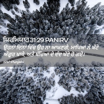 Picture 02 - ਯਿਰਮਿਯਾਹ 31:29 PANIRV - ਉਹਨਾਂ ਦਿਨਾਂ ਵਿੱਚ - Bible Verse Picture