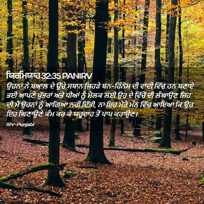 Picture 02 - ਯਿਰਮਿਯਾਹ 32:35 PANIRV - ਉਹਨਾਂ ਨੇ ਬਆਲ ਦੇ - Bible Verse Picture