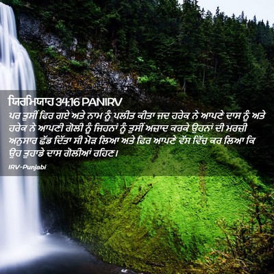 Picture 02 - ਯਿਰਮਿਯਾਹ 34:16 PANIRV - ਪਰ ਤੁਸੀਂ ਫਿਰ ਗਏ ਅਤੇ - Bible Verse Picture