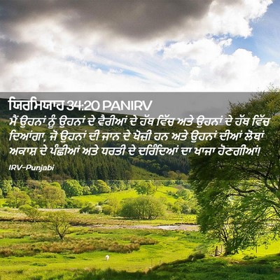 Picture 02 - ਯਿਰਮਿਯਾਹ 34:20 PANIRV - ਮੈਂ ਉਹਨਾਂ ਨੂੰ - Bible Verse Picture