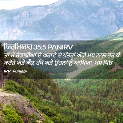 Picture 02 - ਯਿਰਮਿਯਾਹ 35:5 PANIRV - ਤਾਂ ਮੈਂ ਰੇਕਾਬੀਆਂ - Bible Verse Picture