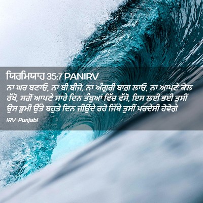 Picture 02 - ਯਿਰਮਿਯਾਹ 35:7 PANIRV - ਨਾ ਘਰ ਬਣਾਓ, ਨਾ ਬੀ - Bible Verse Picture