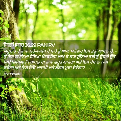 Picture 02 - ਯਿਰਮਿਯਾਹ 36:29 PANIRV - ਯਹੂਦਾਹ ਦੇ ਰਾਜਾ - Bible Verse Picture