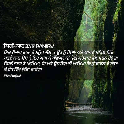 Picture 02 - ਯਿਰਮਿਯਾਹ 37:17 PANIRV - ਸਿਦਕੀਯਾਹ ਰਾਜਾ ਨੇ - Bible Verse Picture