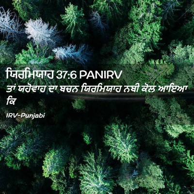 Picture 02 - ਯਿਰਮਿਯਾਹ 37:6 PANIRV - ਤਾਂ ਯਹੋਵਾਹ ਦਾ ਬਚਨ - Bible Verse Picture