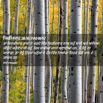 Picture 02 - ਯਿਰਮਿਯਾਹ 38:16 PANIRV - ਤਾਂ ਸਿਦਕੀਯਾਹ ਰਾਜਾ - Bible Verse Picture