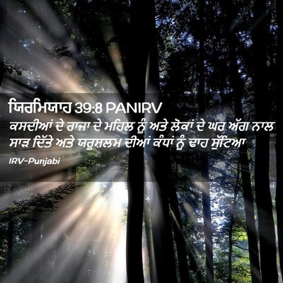 Picture 02 - ਯਿਰਮਿਯਾਹ 39:8 PANIRV - ਕਸਦੀਆਂ ਦੇ ਰਾਜਾ ਦੇ - Bible Verse Picture