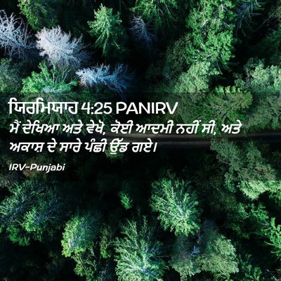Picture 02 - ਯਿਰਮਿਯਾਹ 4:25 PANIRV - ਮੈਂ ਦੇਖਿਆ ਅਤੇ ਵੇਖੋ, - Bible Verse Picture