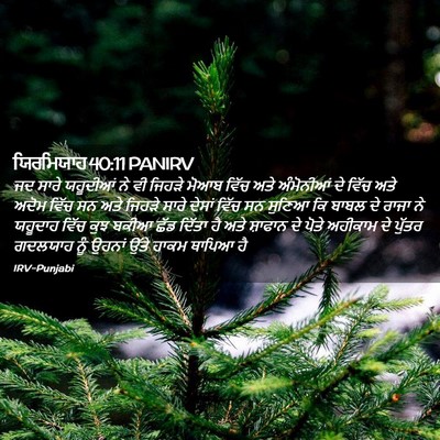 Picture 02 - ਯਿਰਮਿਯਾਹ 40:11 PANIRV - ਜਦ ਸਾਰੇ ਯਹੂਦੀਆਂ ਨੇ - Bible Verse Picture